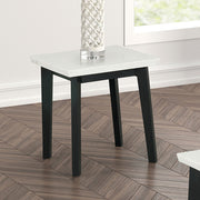 Thisted Square Marble End Table