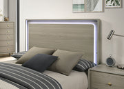 Rainier 5 Pc Queen Bedroom Set (Panel HB)