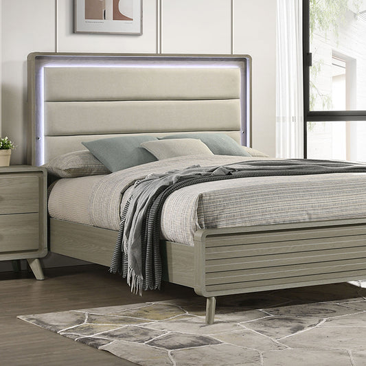 Rainier Bed
