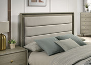 Rainier 5 Pc Queen Bedroom Set (Upholstered HB)
