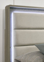 Rainier 5 Pc Queen Bedroom Set (Upholstered HB)