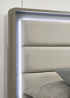 Rainier 5 Pc Queen Bedroom Set (Upholstered HB)