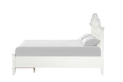 Naucalpan Queen Storage Bed