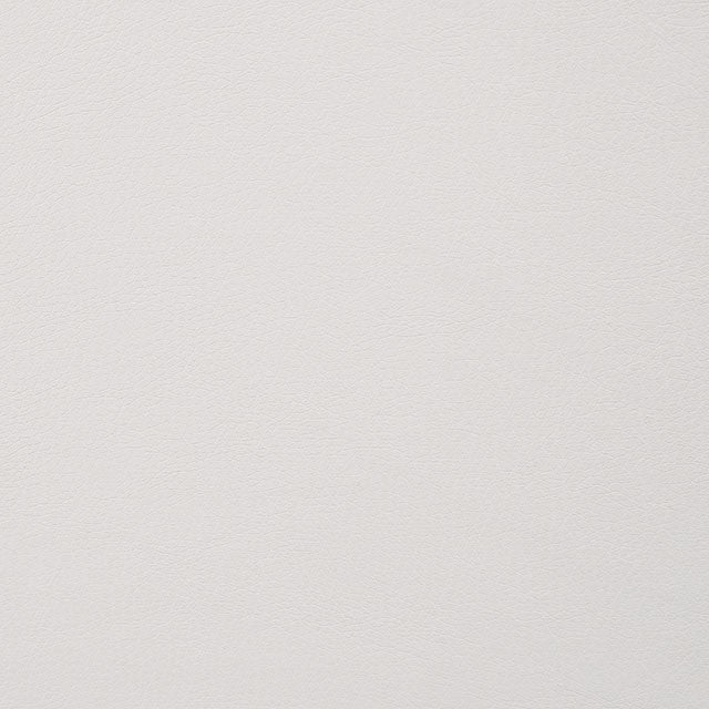 Alisha Side Chair (2/Ctn)