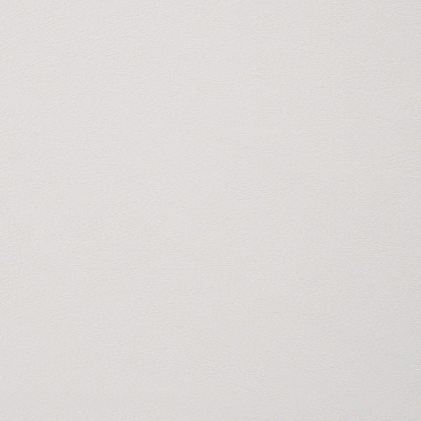 Alisha Side Chair (2/Ctn)