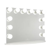 Hollywood Premiere Plus Vanity Mirror