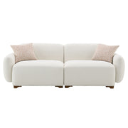 Darius Sofa w/2 Pillows