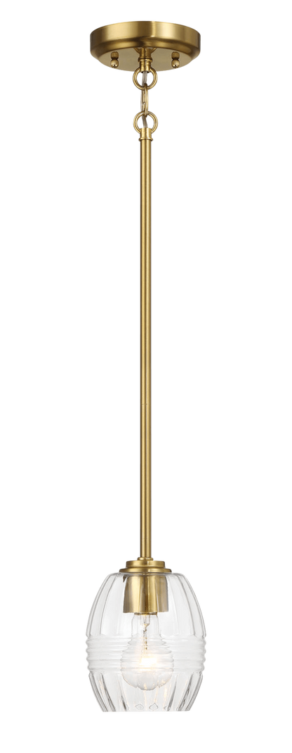 Vista Single Pendant Chain Hanging Light with Clear Glass - Satin Brass